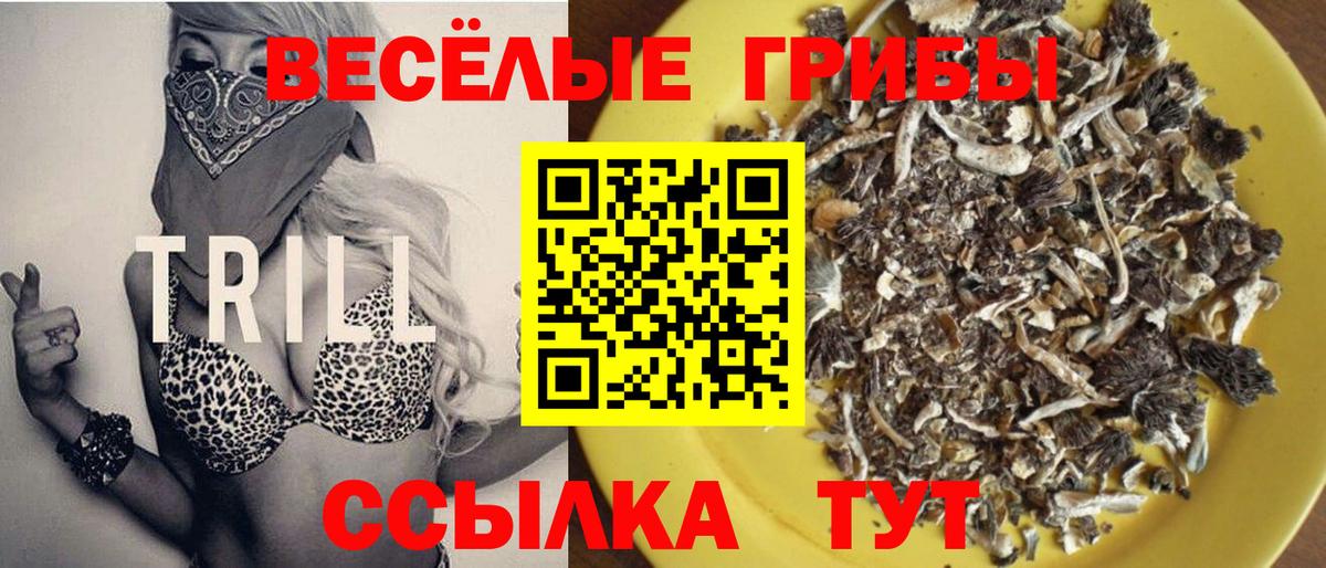 Псилоцибиновые грибы ЛСД  как найти закладки  Каспийск  Вход с VPN 